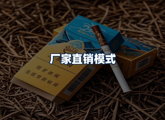 专业团队办公环境